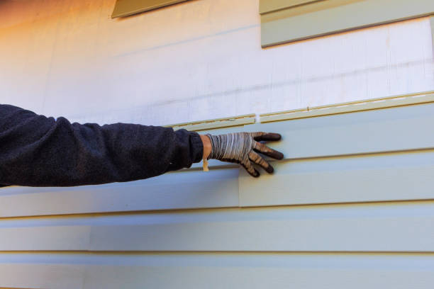 Best Custom Siding Design  in Walnut, IL